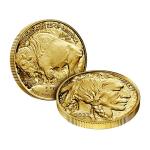 2023-W 1 oz American Gold Buffalo Proof Coin