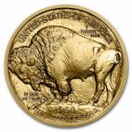 2023 1 oz American Gold Buffalo Coin
