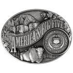 2025 $10 American Bison 5 oz Silver Coin