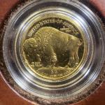 2008-W $5 American Buffalo Gold Coin 1/10 Oz