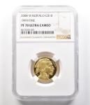 2008-W $10 American Gold Buffalo 1/4 Oz Coin