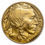 2025-W 1 oz Gold Buffalo Proof Coin PR-70