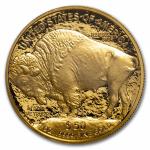 2025-W 1 oz Gold Buffalo Proof Coin PR-70