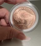 1 oz Indian Buffalo Copper Coin with Capsule