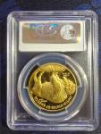 2009-W $50 American Gold Buffalo 1 Oz Coin