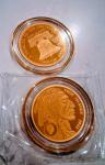 Set of 2 Pure Gold Buffalo and Liberty Coins