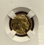 2008 W $5 1/10 Oz Gold Buffalo Coin