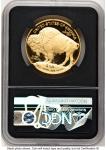 2022-W Proof Gold Buffalo Coin 1 oz NGC PF70