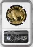 2023 1 Oz Gold American Buffalo Proof Coin