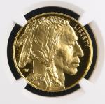 2023 1 Oz Gold American Buffalo Proof Coin