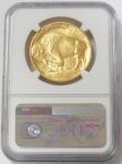 2023 Gold Buffalo Coin 1 oz NGC MS70