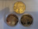2024 US Buffalo Indian Head Gold Coin Set