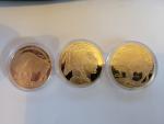 2024 US Buffalo Indian Head Gold Coin Set