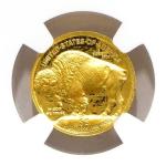 2008 Gold $5 American Buffalo 1/10 Oz Coin