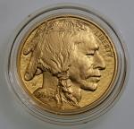 2013-W $50 Gold American Buffalo Proof Coin