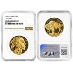 2025-W 1-oz Proof American Gold Buffalo Coin