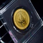 2024 Chad Gold Buffalo Coin 5000 Francs