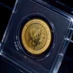 2024 Chad Gold Buffalo Coin 5000 Francs