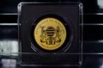 2024 Chad Gold Buffalo Coin 5000 Francs