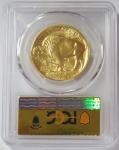 2024 Gold $50 American Buffalo 1oz Coin