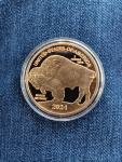 2024 Indian Buffalo Gold Coin Replica