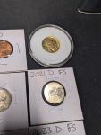 20 Gold Plated Buffalo Nickels, Low Mintage