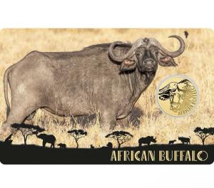 2024 African Buffalo 1/1000oz Gold Coin Card