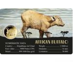 2024 African Buffalo 1/1000oz Gold Coin Card