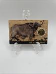 African Buffalo 1/1000 Oz Gold Coin 3000 Francs