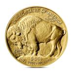 2025 American Buffalo Gold Coin 1 oz