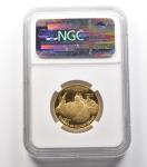 2008-W $25 American Gold Buffalo 1/2 Oz Coin