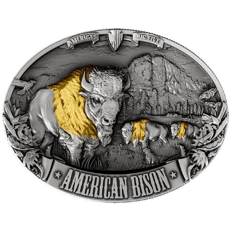 2025 $10 American Buffalo 5 oz Silver Coin