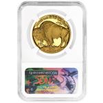 2019-W Proof $50 American Gold Buffalo Coin