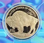 2023 American Buffalo Gold Plated Coin