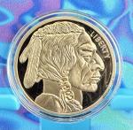 2023 American Buffalo Gold Plated Coin