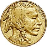 2023 1 oz American Gold Buffalo Coin