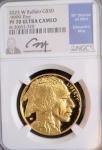 2023 Gold American Buffalo Proof 70 Coin
