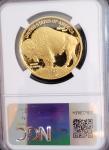 2023 Gold American Buffalo Proof 70 Coin