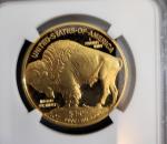 2023 Gold American Buffalo Proof 70 Coin