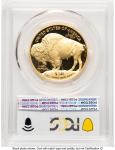 2023-W Proof Gold Buffalo 1 oz Coin PR70
