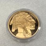 2024 $50 Gold Plated Buffalo Tribute Coin
