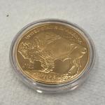 2024 $50 Gold Plated Buffalo Tribute Coin