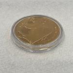 2024 $50 Gold Plated Buffalo Tribute Coin