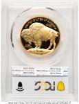 2024-W Proof Gold Buffalo 1 oz Coin PR70