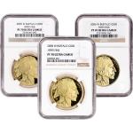 American Gold Buffalo Proof Coin 1 oz NGC PF70