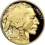 American Gold Buffalo Proof Coin 1 oz NGC PF70