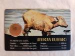2024 African Buffalo Gold Coin Card - Wildlife Series