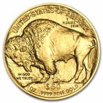 2024 1 oz Gold Buffalo Coin MS-70 PCGS