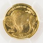 2008 W $5 1/10 Oz Gold American Buffalo Coin