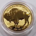 2013 Gold American Buffalo Proof Coin - 1 oz